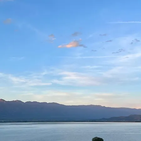 Lakeview Dimi